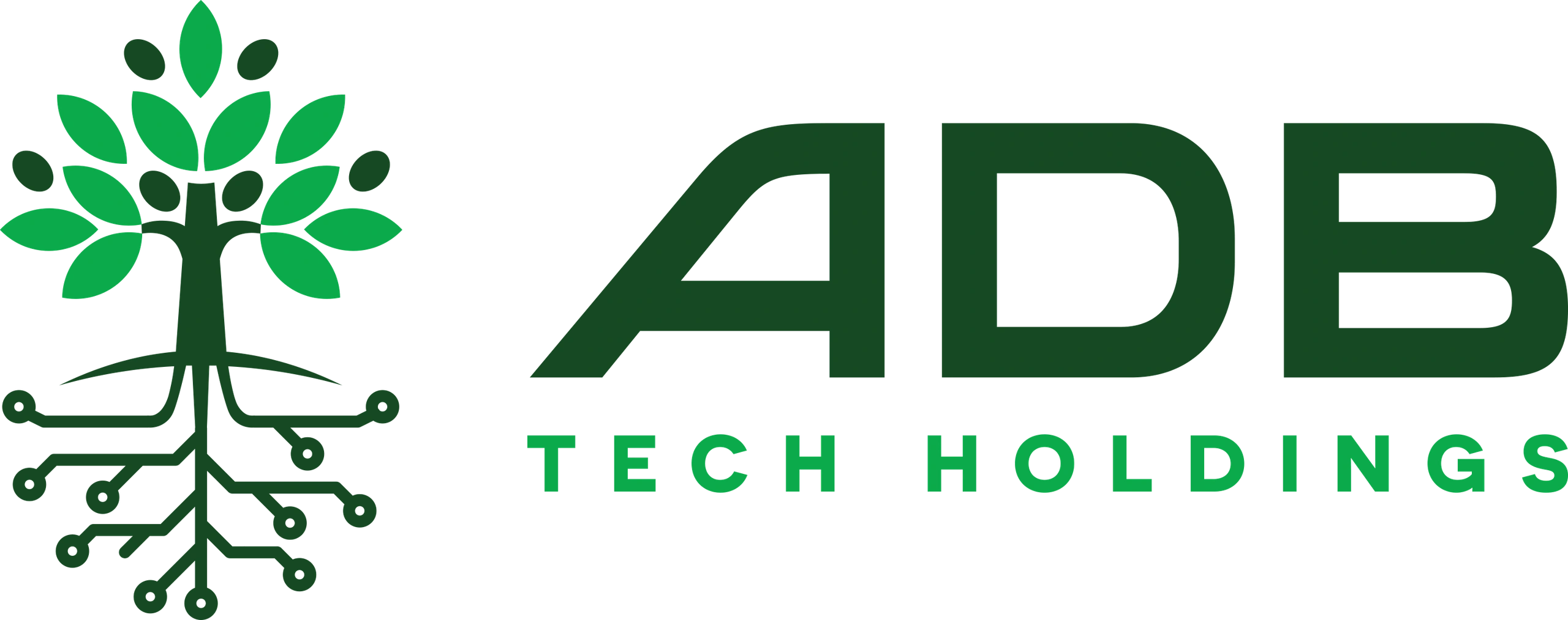 ADB Tech Holdings