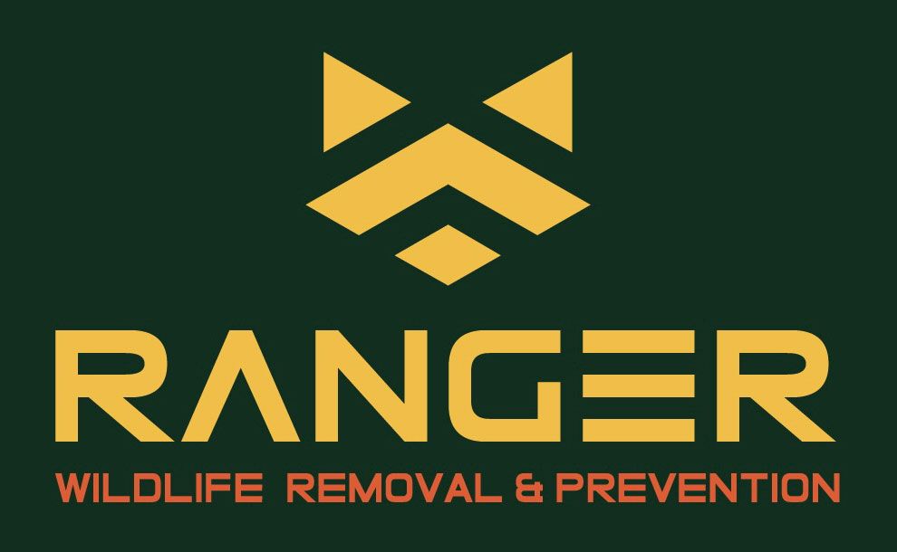 Ranger Wildlife Removal and Prevention